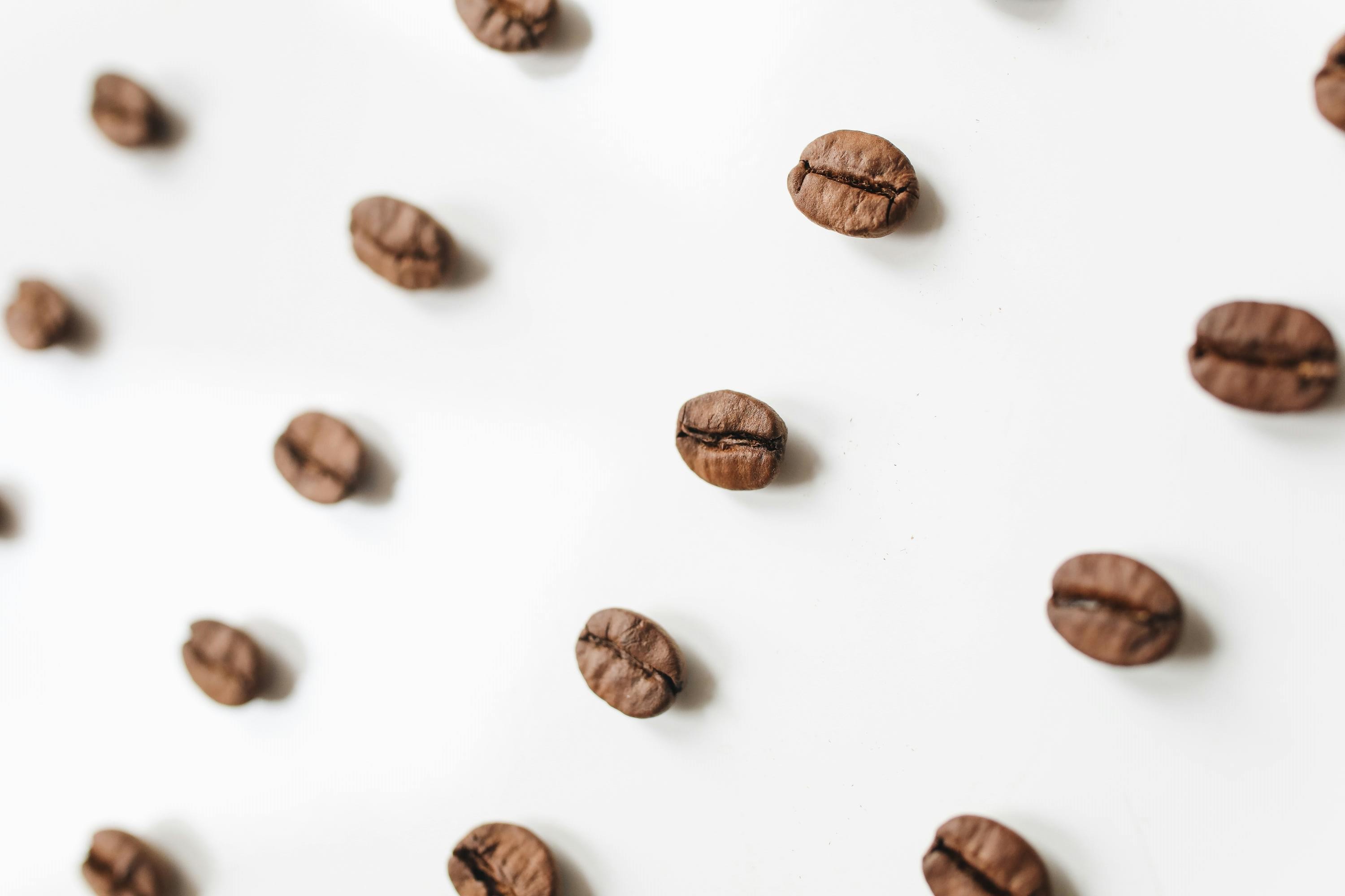 Granos de café tostados alineados y espaciados entre sí sobre un fondo blanco